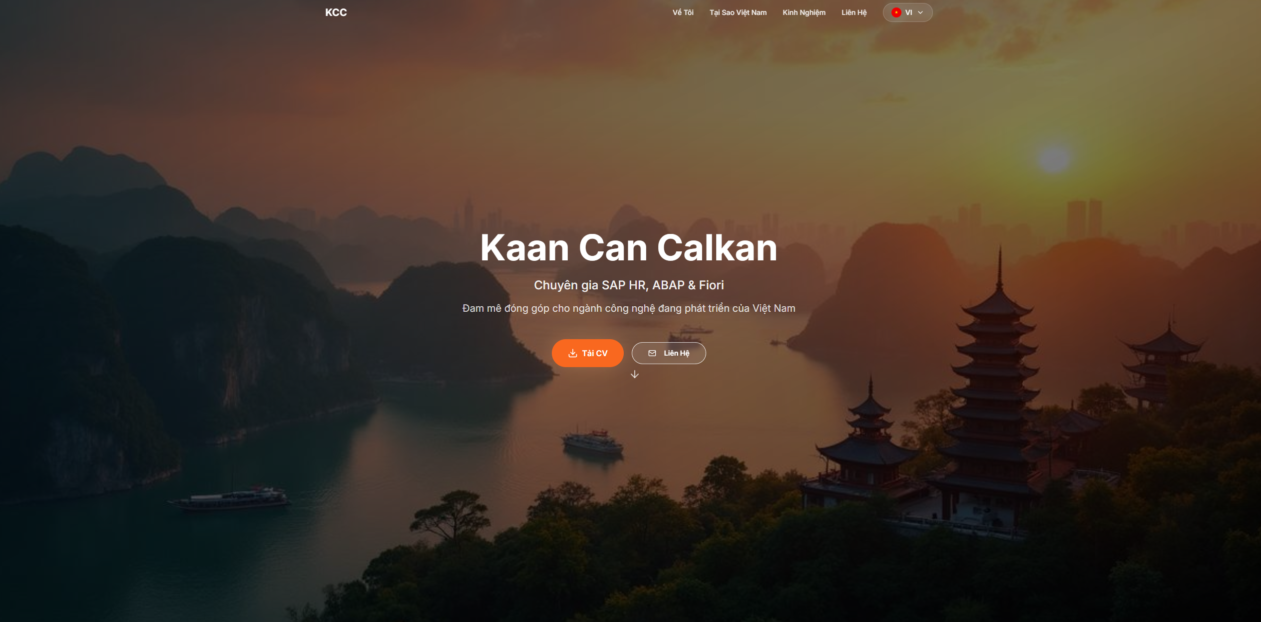 Vietnam SAP Consulting